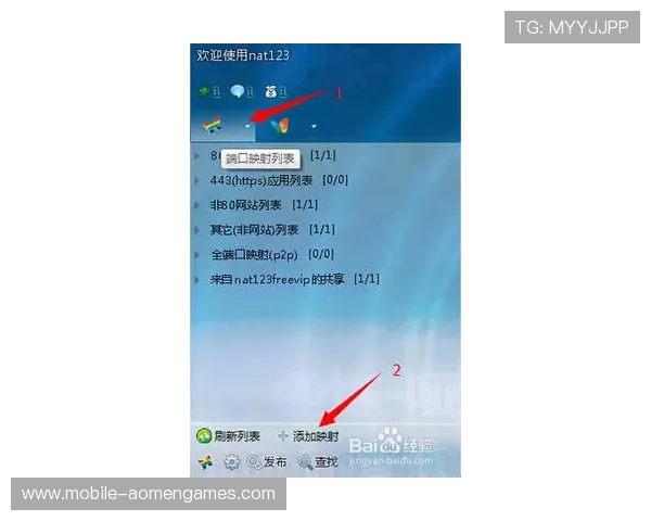 新濠官网入口：常见问题解答与入口访问技巧全攻略