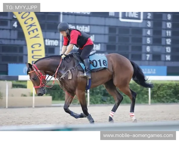 澳门赛马日精彩瞬间集锦，回顾每一场激烈角逐与精彩瞬间