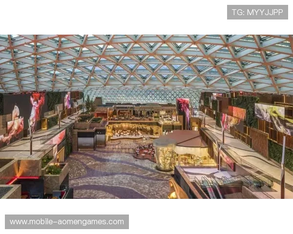 美狮美高梅娱乐场：多样化的娱乐项目满足不同年龄层和兴趣偏好的客户需求